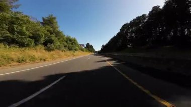 Kuzey Redwood Otoyolu 402 Arka Manzara Loleta Sürücü Plakası Kaliforniya ABD Ultra Geniş