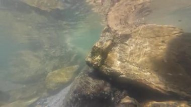 Palos 'ta Su Altında Rocky Sığ Suyu Kaliforniya Kıyısına Karşı ABD Pasifik Okyanusu