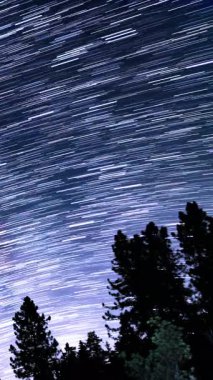 Kaliforniya 'daki Palomar Dağı San Diego Astrofotoğrafçılık Süreci' nde Güneydoğu Gökyüzü Yıldızları İzleme Dikey Çekimi