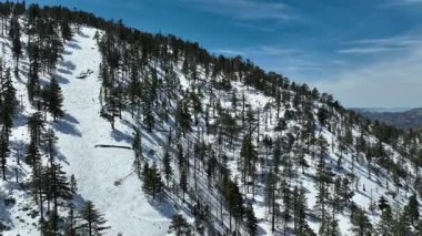 Waterman Dağı Kar Ormanının Hava Çekimini İzliyor Kaliforniya 'ya doğru ilerliyor.