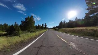 Kuzey Kaliforniya Arka Görünümü _ Orman Arka Manzara 05 36 Doğu yönünde ABD Ultra Geniş Plaka