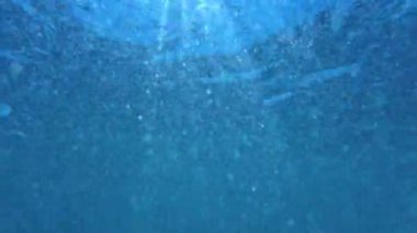 Sualtı Güneş Işığı Okyanus Dalgası ve Baloncukları