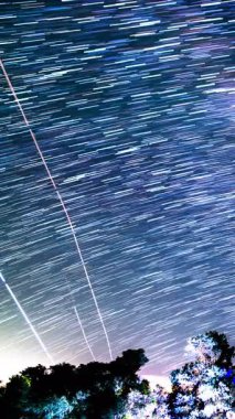 Güneydoğu Gök Galaksisi 'nde, Kaliforniya' da Los Padres Astrofotografı Üzerindeki Dikey Yıldız İzleri