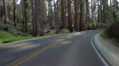 Sequoia Ulusal Parkı Generallerinin Hiperlapse Sürüşü Güney Otobanı 03 Front View California ABD