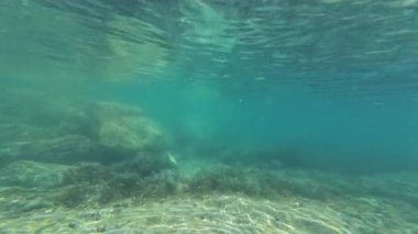 Palos Verdes ABD 'deki Kaliforniya Kıyısı Sualtı Dalga Örnekleri