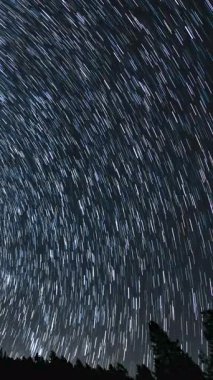 Kaliforniya 'da Dikey Kainat Yıldız İzleri Astrofotoğrafçılık Gecesi Gökyüzü Zamanı Süreleri