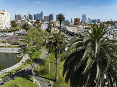 Los Angeles şehir merkezi Skyline Palm Trees in MacArthur Park California USA