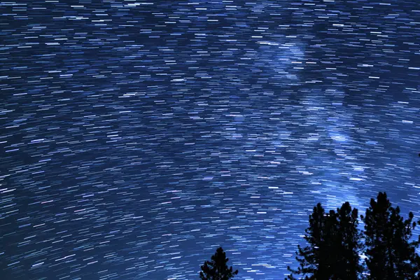 Star Trails of Milky July in South Sky Over Trees Palomar Mountain San Diego Astrophotography in California USA