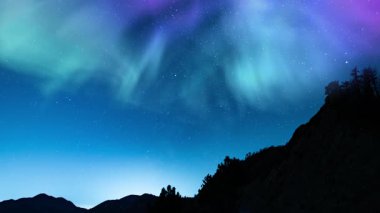 Aurora Yıldızlı Gökyüzü Dağ Ormanı Döngüsünde Yıldızlı Dans