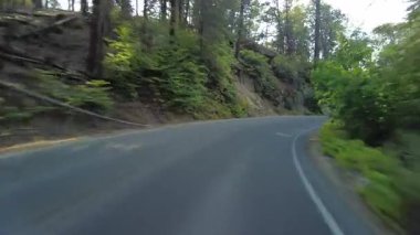Sequoia Ulusal Parkı Generalleri Güney Yolu 16 Multicam Front View Forest Driving Plate Sierra Nevada California Mt. ABD