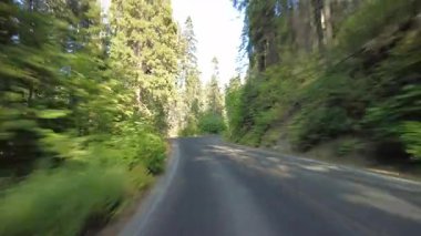 Sequoia Ulusal Parkı Generalleri Güney Otoyolu 16 Multicam Arka Orman Sürücü Plakası Sierra Nevada California Amerika Birleşik Devletleri