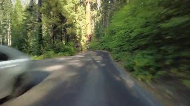 Sequoia Ulusal Parkı Generalleri Güney Yolu 17 Multicam Front View Forest Driving Plate Sierra Nevada California Mt. ABD