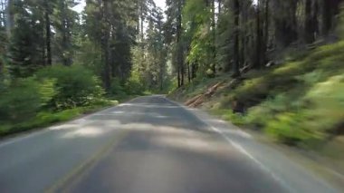Sequoia Ulusal Parkı Generalleri Güney Yolu 18 Multicam Front View Forest Driving Plate Sierra Nevada California Mt. ABD