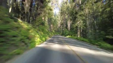Sequoia Ulusal Parkı Generalleri Güney Otoyolu 18 Multicam Arka Orman Sürüş Plaka Sierra Nevada California Amerika Birleşik Devletleri