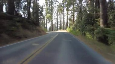 Sequoia Ulusal Parkı Generalleri Güney Yolu 20 Multicam Front View Forest Driving Plate Sierra Nevada California Mt. ABD