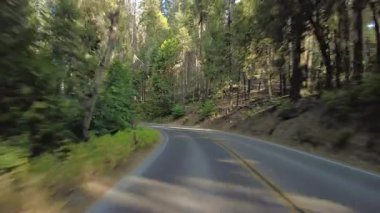 Sequoia Ulusal Parkı Generalleri Otoyol Güneye 20 Multicam Arka Orman Sürücü Plakası Sierra Nevada California Amerika Birleşik Devletleri