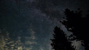 Samanyolu Galaksisi ve Bulutları Güneydoğu Gökyüzü Dağ Ormanının Üzerinde 24 mm Astrofotoğrafçılık: Zaman Süreleri: Kaliforniya ABD