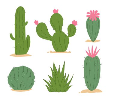 Kaktüsler. Çöl bitkisi, Meksika kaktüsü çiçeği, aloe, sulu. Çizgi filmlerdeki dekoratif bahçe kaktüsleri, ev bitkileri, Meksika 'da yaz bitkileri. Vektör düz set. Egzotik botanik dikenli elementler