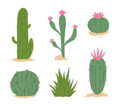 Altı stilize çizgi film kaktüsü ve sulu kaktüslerden oluşan bir vektör illüstrasyonu. Sette, bazıları pembe çiçeklerle süslenmiş çeşitli çöl bitkileri şekilleri ve boyutları yer alıyor. Botanik tasarımlar, çıkartmalar, kalıplar ve eğitim için mükemmel.