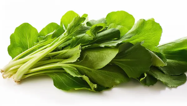 stock image A lots of fresh Mustard greens Vegetables organic isolated on white background.