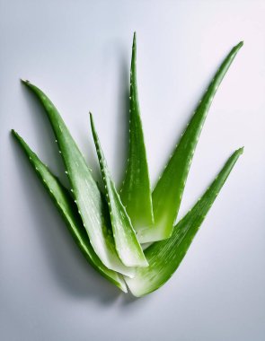 aloe vera, temiz ve pürüzsüz beyaz bir arkaplanda izole edilmiş..