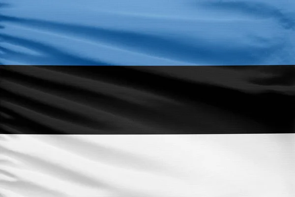 Bandera Estonia Representa Una Tela Punto Deportivo Con Pliegues —  Fotos de Stock