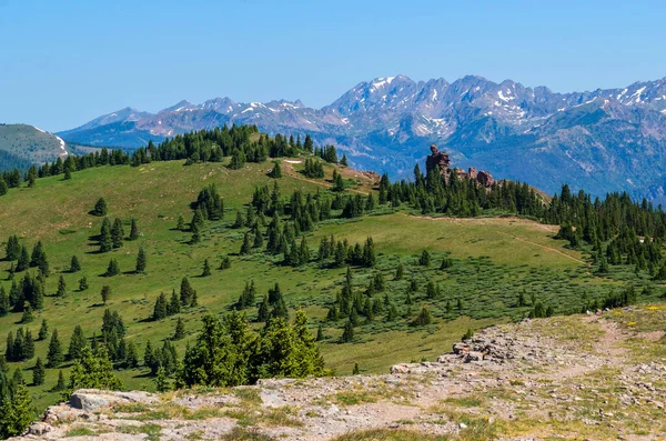 Vail Colorado Abd Deki Shrine Pass Trail Deki Çayır Dağı — Stok fotoğraf