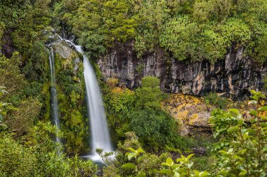 Dawson Falls Egmont Ulusal Parkı, Yeni Zelanda. 