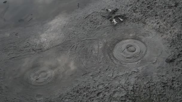 ニュージーランドのロトルア近くの地熱ワイオタプスプリングの泥プールから噴出するガスの泡 — ストック動画