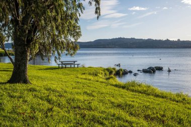 Yeni Zelanda 'daki Taupo Gölü' nün panoramik manzarası.