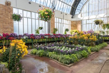 Auckland Domain Kış Bahçeleri, Yeni Zelanda 'da güzel bir gün..