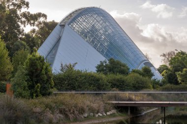 İki Yıllık Konservatuar 'da yağmur ormanı kökleri Adelaide Botanik Bahçesi, Avustralya.