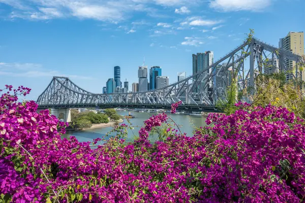Brisbane Köprüsü ve pembe bougainvillea çiçeklerinin arkasındaki ufuk çizgisi.