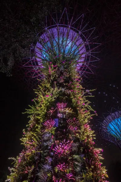 Singapur - 9 Ekim 2023: Gece körfezin yanındaki Bahçe 'de Supertree Grove.