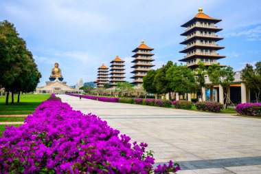 Kaohsiung, Tayvan - 9 Ocak 2024: Fo Guang Shan Buddha Müzesi 'nde pembe ve mor Bougainvillea çiçekleri.