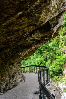 The pathway along the Shakadang Trail features a wooden railing, winding through vibrant foliage beside a tranquil river, inviting hikers to immerse in natures beauty. clipart