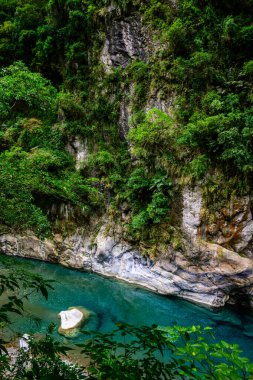 The pathway along the Shakadang Trail features a wooden railing, winding through vibrant foliage beside a tranquil river, inviting hikers to immerse in natures beauty. clipart