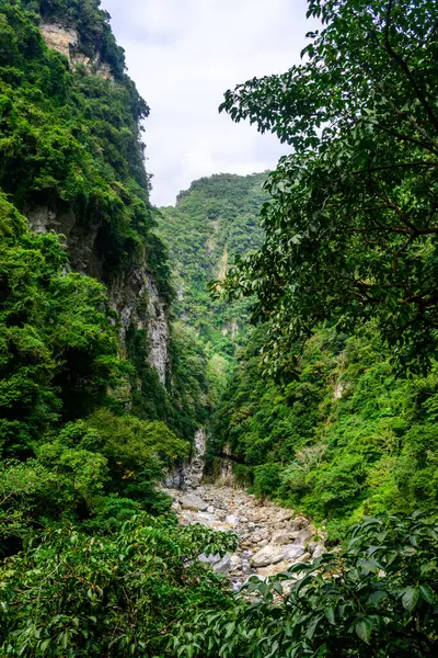 stock image The pathway along the Shakadang Trail features a wooden railing, winding through vibrant foliage beside a tranquil river, inviting hikers to immerse in natures beauty.