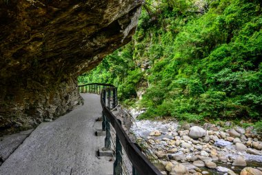 Shakadang Patikası boyunca uzanan patika, dingin bir nehrin kenarındaki canlı yaprakların arasından sarkan ahşap bir korkuluk içerir. Yürüyüşçüleri doğanın güzelliğine dalmaya davet eder..