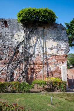 Tayvan, Tainan 'da canlı bir mavi gökyüzüne kurulmuş Anping Eski Kalesi' nin tuğla duvarı yemyeşil alanın ortasında duruyor. . 