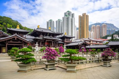 Huzurlu bir tapınak bahçesi, bonsai ağaçları, taş patikalar, ve Çin tapınağının önünde bir gölet, Chi Lin Nunnery, Hong Kong 'un pagoda çatısı