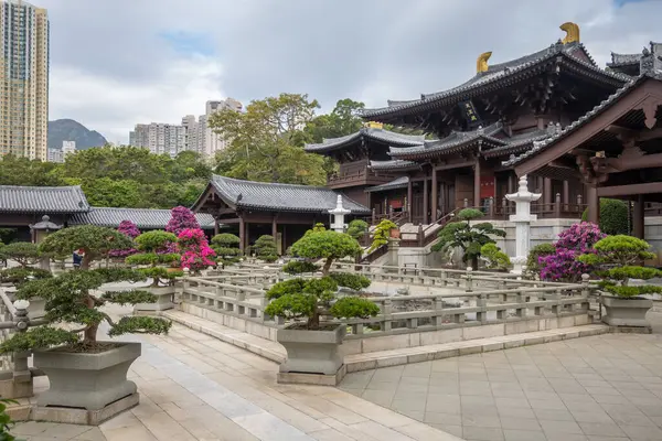Huzurlu bir tapınak bahçesi, bonsai ağaçları, taş patikalar, ve Çin tapınağının önünde bir gölet, Chi Lin Nunnery, Hong Kong 'un pagoda çatısı