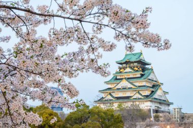 16. yüzyılda Japon mimarisinin başyapıtı olan Osaka Kalesi 'nde çiçek açan kiraz çiçekleri. Kaleler yeşil çatı ve taş duvarlar pembe ve beyaz çiçeklerin aksine duruyor.