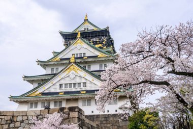 Osaka Kalesi 'nde kiraz çiçekleri çiçek açar. Kaleler yeşil çatı ve taş duvarlar pembe ve beyaz çiçeklerin aksine duruyor.