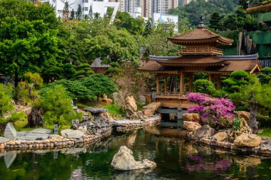 Hong Kong 'daki Nan Lian Garden' da berrak sularında yüzen koi balıklarıyla dolu sakin bir gölet. Gölet yemyeşil ve geleneksel Çin tarzı bir pavyonla çevrilidir..