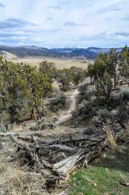 Haymaker Bisiklet Patikası Eagle, Colorado, ABD.