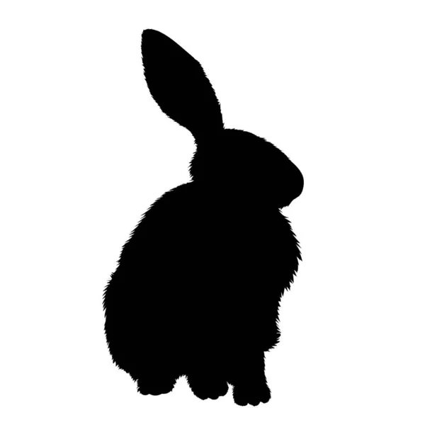 Illustration Des Sitzenden Kleinen Hasen Gestalt Hasengrafik Auf Transparentem Hintergrund — Stockfoto