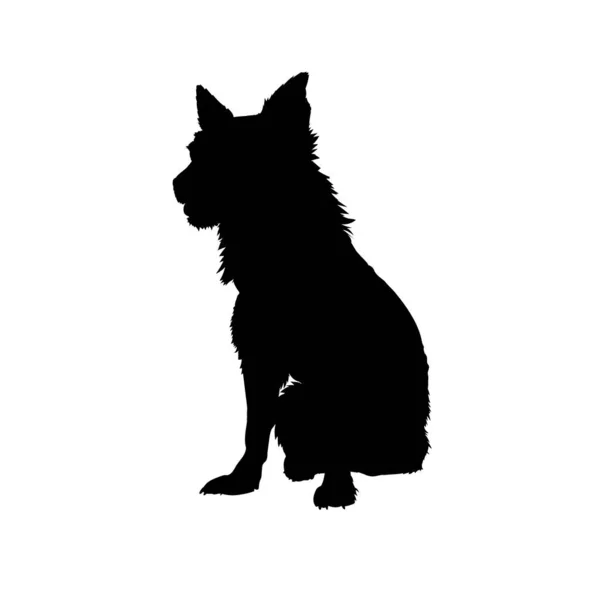 Yelek Içinde Oturan Melez Köpek Şekil Ver Yelek Giymiş Bir — Stok Vektör