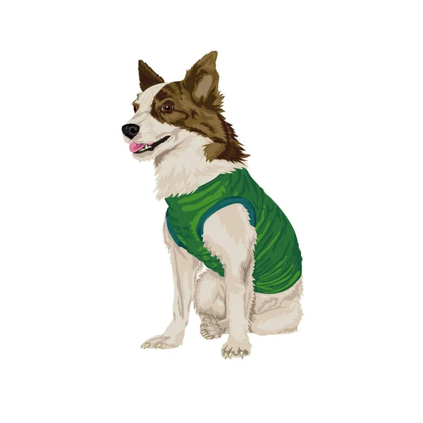 Klootzak Kogelvrij Vest Vector Illustratie Van Een Zittende Hond Een — Stockvector