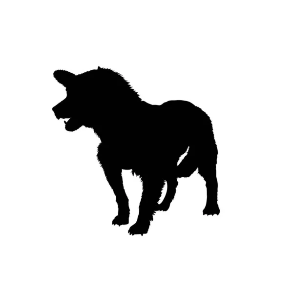 穿着夹克站着的杂种的形状 蒙哥马利的狗在背心 一个穿着狗夹克的站着的狗的矢量图解 透明背景上的Mongrel矢量图形 病媒中的狗的图解 — 图库矢量图片